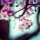 내가만약 이미지