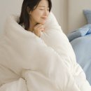 이프로젝트