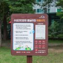 수성근린공원 네이버블로그