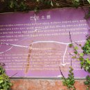 판포리 사무소 | 제주 한경면 판포오름(널개오름) 후기! 한경 앞바다 오션뷰는 좋지만, 정상 둘레길은 없고, 하단 둘레길...