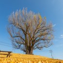 금강올레길 이미지