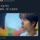 나 지금 약간 강형욱…?된 거 같은데 이미지