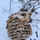 천조공인중개사사무소 이미지