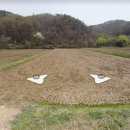 홍천부동산공인중개사사무소 이미지