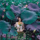 갤마쥬애견미용학원 | 바이, 썸머