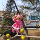 하송 이미지