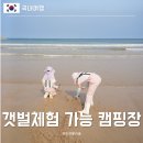 태안 무료 갯벌체험 가능한 캠핑장 추천 바다와파도소리