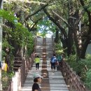 나무그늘 이미지