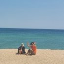 구산솔밭 이미지