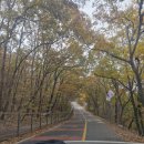 십일남매 | 김포 애기봉 예약하고 하루 알차게 놀고옴 (예약방법 정리)