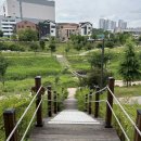 호연조경건설 | [동탄 8억이하 아파트] 동탄호수하우스디 아파트 임장 분석