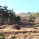 ◈용인시처인구아파트경매◈-용인시 처인구아파트경매,빌라경매,상가경매-6월23일 이후-용인시처인구= 이미지