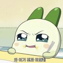 스코닉