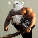 땡초포차 이미지