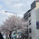 미소택시 협동조합 | 제주도 맛집, 아침식사가 가능한 각재기국맛집 ’뽕이네각재기 3호점아라‘ 내돈내산 후기