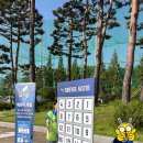 [수원삼성] 빅버드 W5구역 프리미엄 테이블석 관람후기