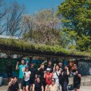 백퍼센트 카카오 검색결과