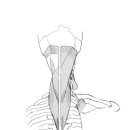 아픔제로한의원 이미지