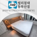 에오스 | 씰리부산 호텔형 침대세트 후기, 에오스2+토르테 조합 설치완료!
