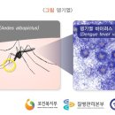 보인내과의원 이미지