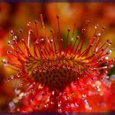 대전한의원 이미지