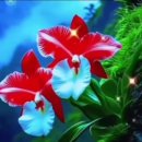 &#34;홍하사의 잡다한 이야기&#34;---(1459) &#34;인생 이야기&#34;---(383) (송학 직격탄) &amp; (오늘의 뉴스) 이미지