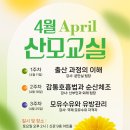 그레이스병원