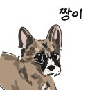 유동물의료센터 이미지