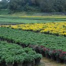 이상은농장 이미지