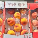 이레청과 이미지