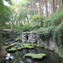 다덕약수관광지 이미지