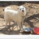 황토골농장 이미지