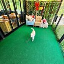 닭갈비천국 | 가평 금강산 숯불닭갈비 맛집 후기 닭갈비&amp;막국수 미식가의 천국!