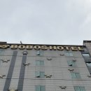 호텔보보스 네이버블로그