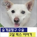 삼송사랑 동물의료센터 이미지