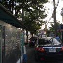 빠박이 애견미용 | 양산 애견미용 멍대장 후기