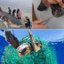 국토환경 이미지