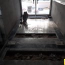 화곡4동주민센터 화장실 이미지