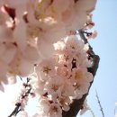 창영농원 이미지