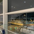 골드렌트카 | 여행 [대한항공/에어비앤비 숙소(반얀,루아나)/허츠렌트카 골드멤버십(연장)/주차]비용 가격 추천 후기 팁