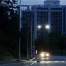 낭만고양이 - 북구 화암1길 34 | 낭만고양이