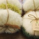 브로콜리약국 이미지