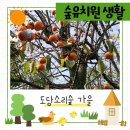 도담소리숲유치원 이미지