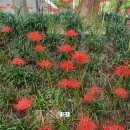 문화소통로 이미지