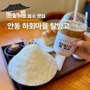 빙고디저트&커피 | 안동 하회마을 카페 빙수 맛집 먹거리 추천 탈빙고