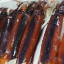 싱싱오징어 이미지