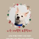 아래숯골공영주차장 | 📢 [제3회 LCKD 입양잔치] 개최 안내