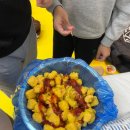 바른아이 수 태권도장 이미지