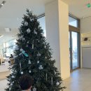 투빈브레드 | 경산 아이랑 가볼만한곳, 대형 베이커리 카페 “더 웨이 투 커피”