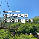 남이자연휴양림 | 남이자연휴양림 계곡 캠핑 곤충박물관 하늘다리 아이와 다녀온 후기